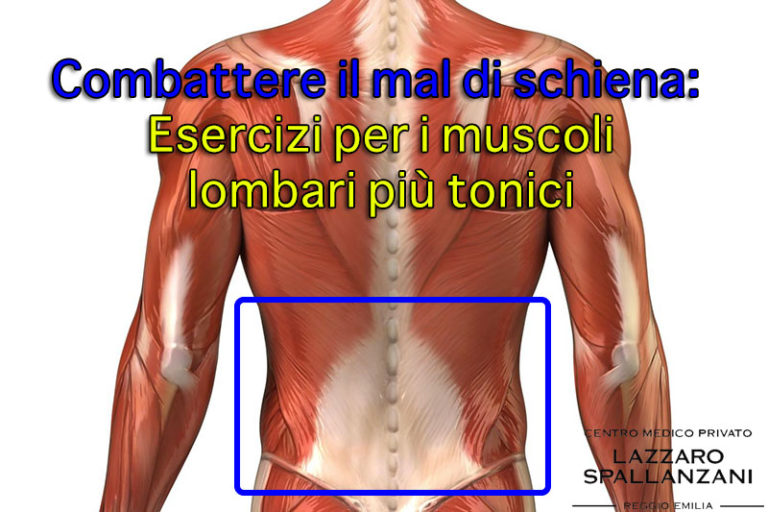 Esercizi Per Il Mal Di Schiena Muscoli Lombari Centro Medico Privato