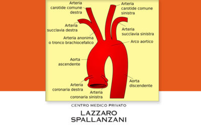 Farmaci a base di statine contro la placca ateromasica