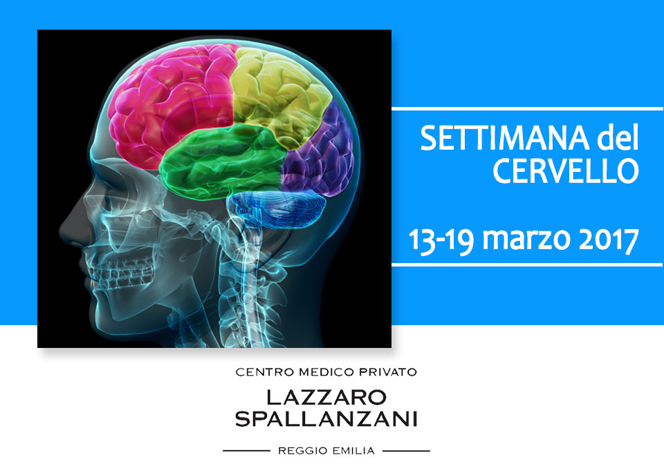 centro della memoria cerebrale